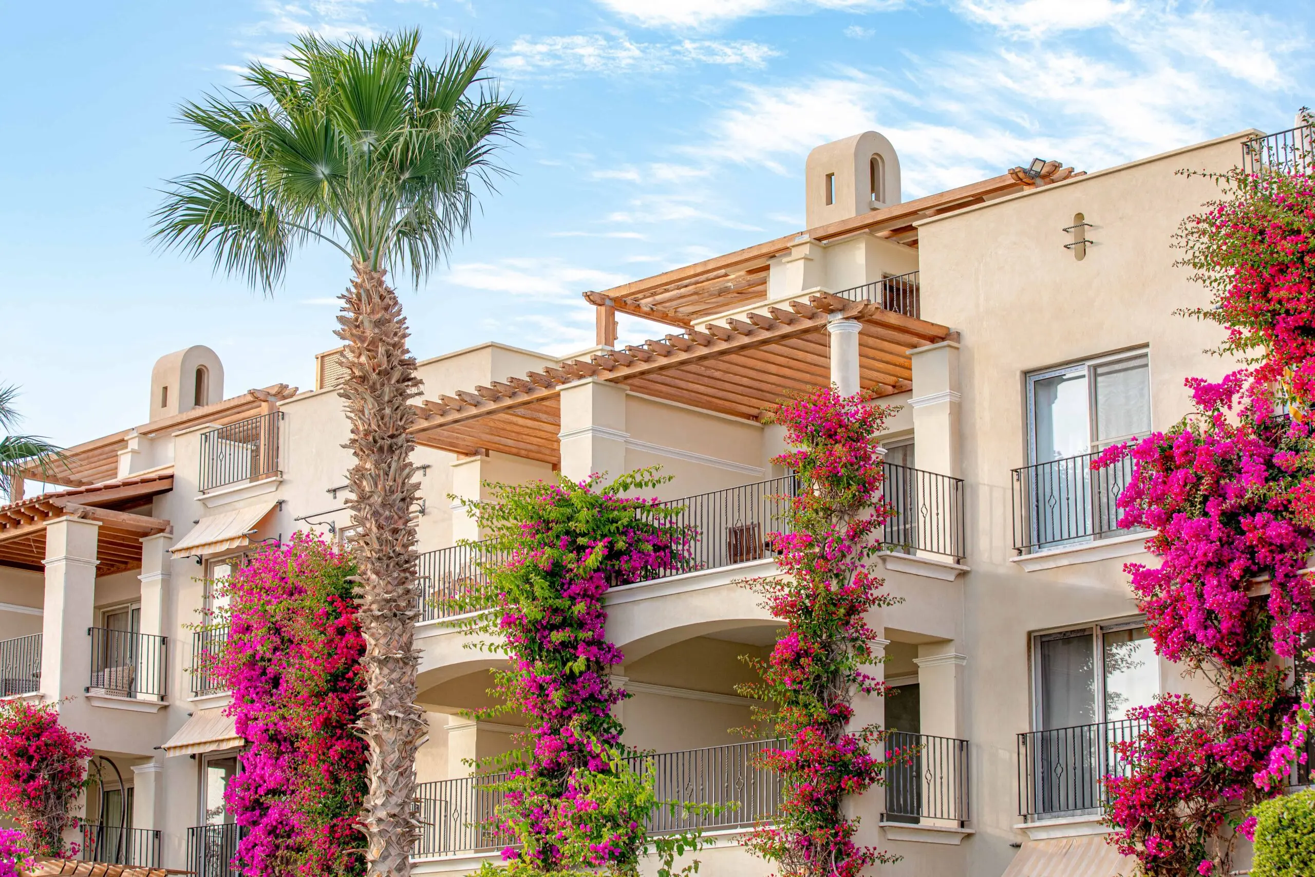 Red Sea Experts Veranda Sahl Hasheesh media (1)