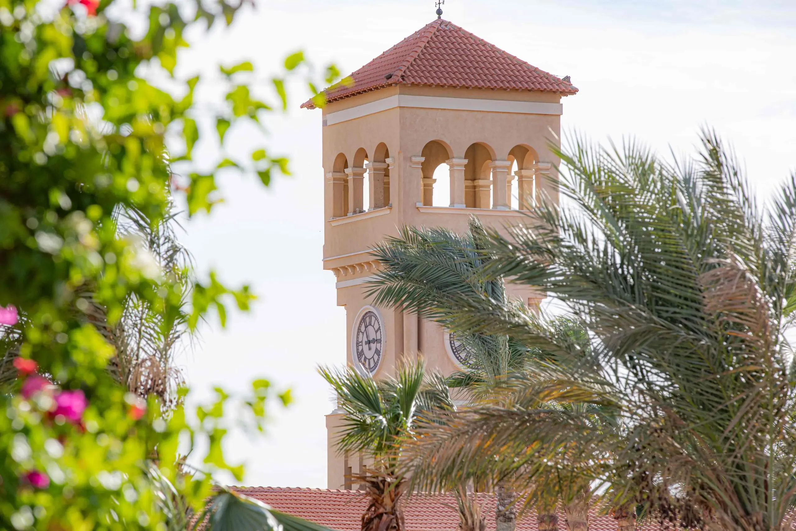 Red Sea Experts Veranda Sahl Hasheesh media (5)